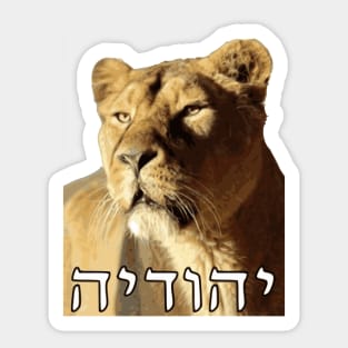 Lioness of Judah Sticker